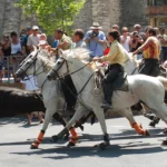 🚨 TRADITIONS TAURINES : VERS L’ASPHYXIE TOTALE DANS LE GARD ?