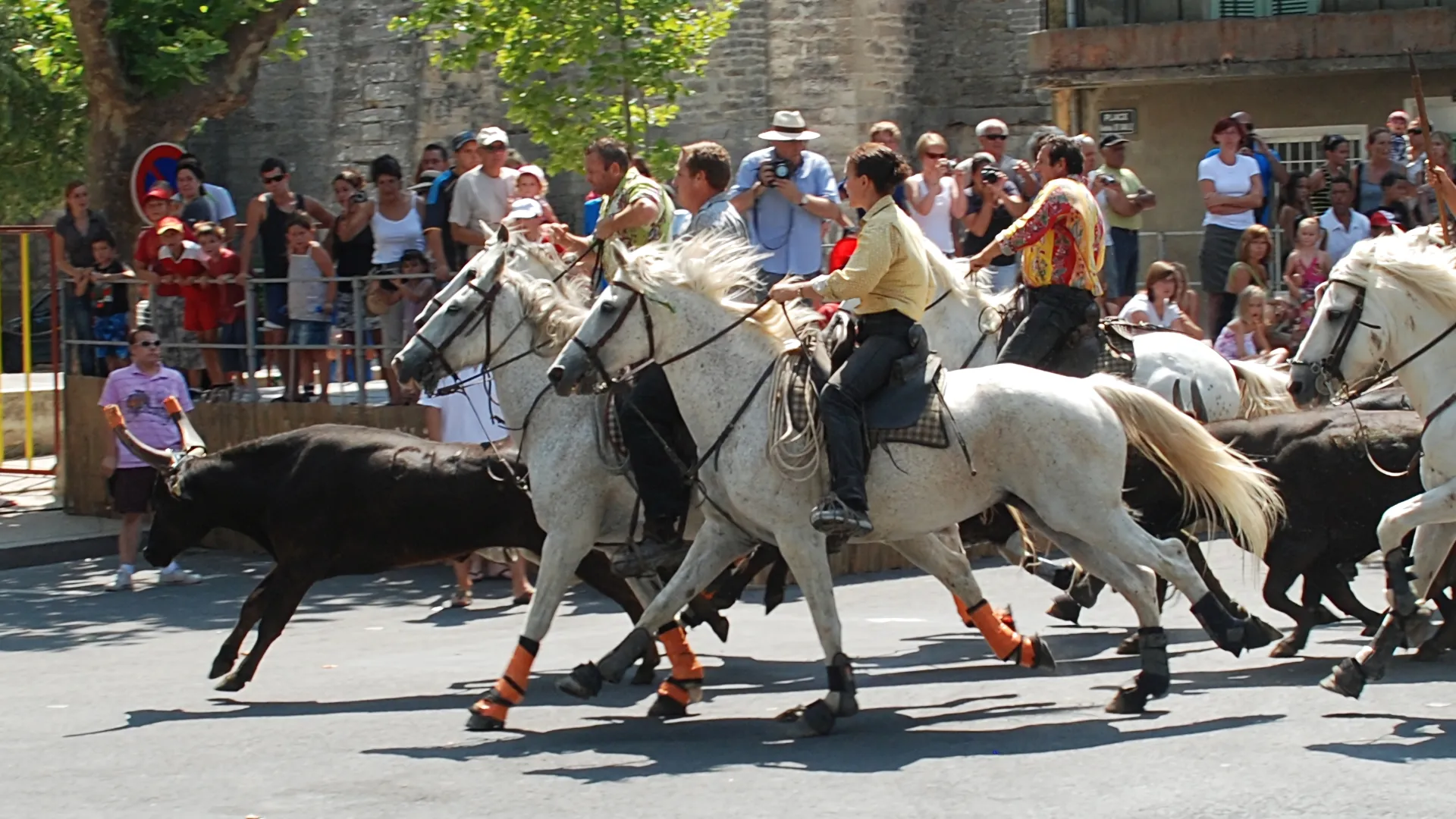 Lire la suite à propos de l’article 🚨 TRADITIONS TAURINES : VERS L’ASPHYXIE TOTALE DANS LE GARD ?